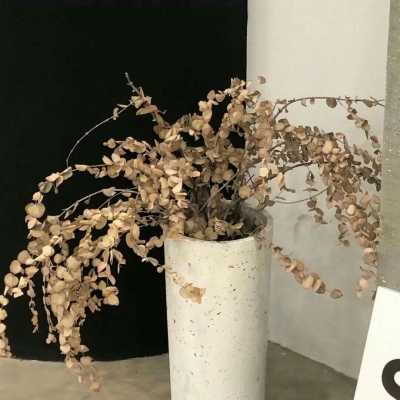 兽设拟人化设计实用技巧兽圈社群